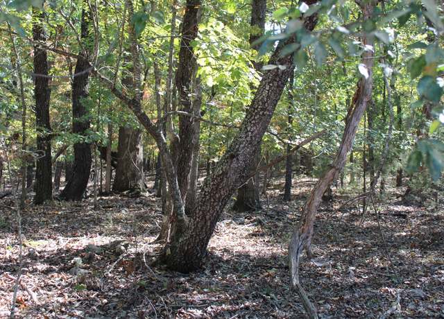 Property at 000 Lakeshore Rd Lot 8, Protem, MO 65733