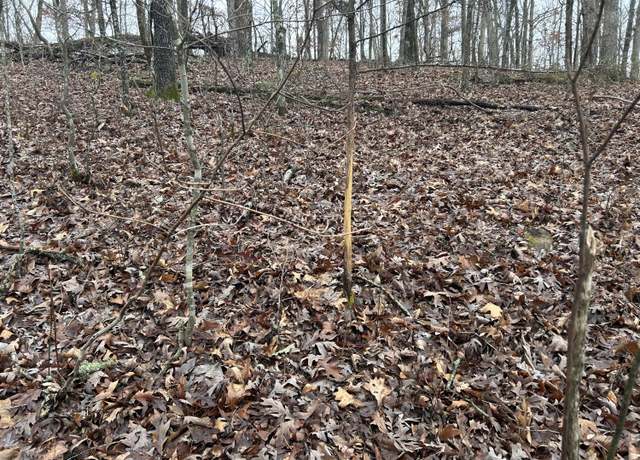 Property at 000 County Road 6388, Newburg, MO 65550