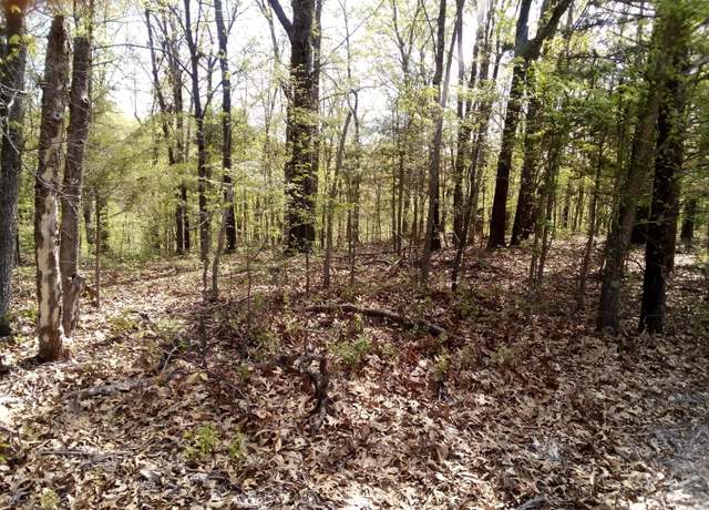 Property at 000 Serenity Ridge Rd, Ozark, MO 65721