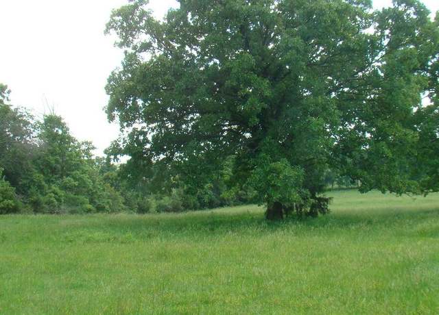 Property at 00 Track 1 Sate Rte W, Mountain View, MO 65548