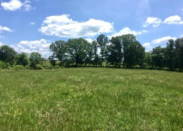 Property at 00 Track 2 State Rte W, Mountain View, MO 65548