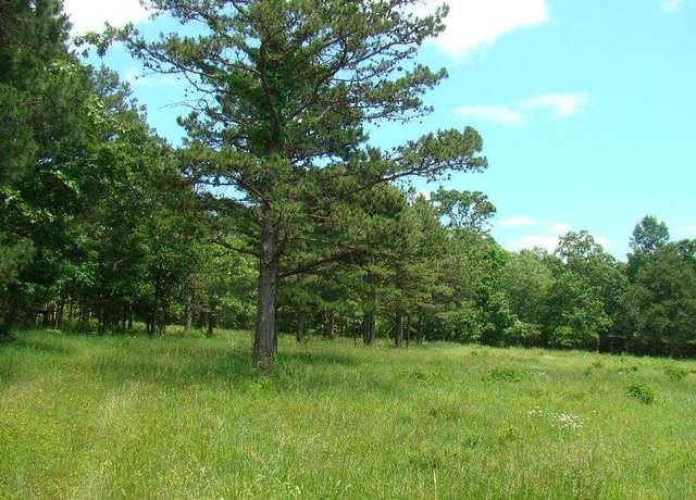 Property at 00 Track 5 State Rte W, Mountain View, MO 65548
