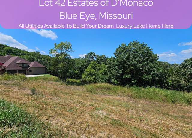 Property at Lot 42 Valencia Ct, Blue Eye, MO 65611