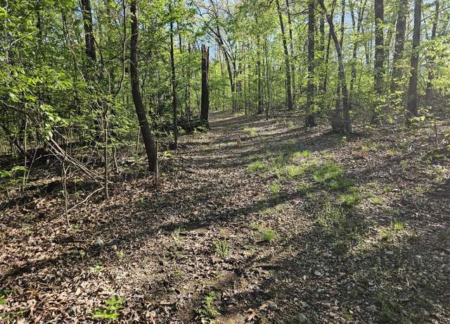 Property at 472-82 Ac Seven Oaks Ln, Noel, MO 64854