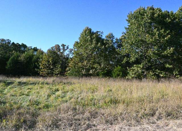 Property at Lot 1 Stoney Point Cir, Shell Knob, MO 65747