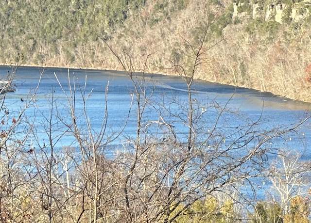 Property at 1985 Mountain Grove Rd, Branson, MO 65616