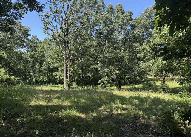 Property at 000 Mulberry Dr, Mountain Grove, MO 65711