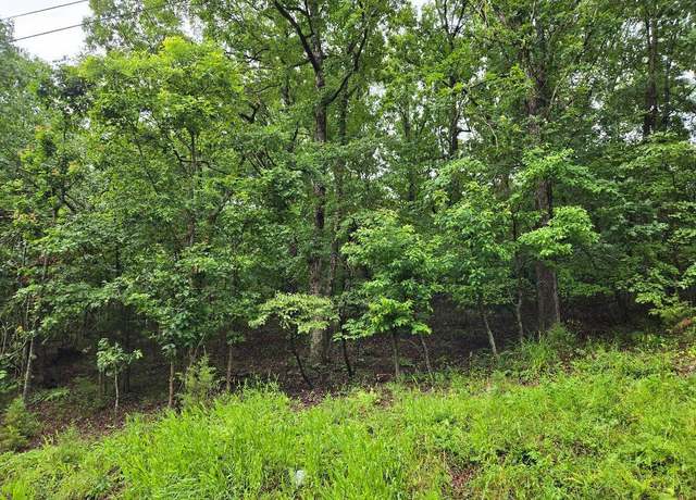 Property at Lot 894, Camdenton, MO 65020