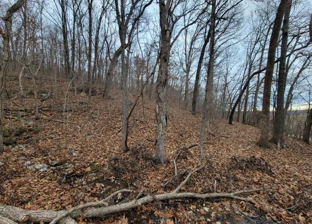 Property at 000 State Highway Z, Falcon, MO 65470