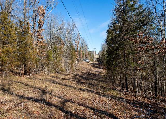 Property at 000 Trout St, Kissee Mills, MO 65680