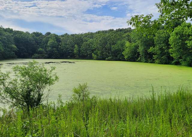 Property at 420 Lake Valley Dr, Seymour, MO 65746