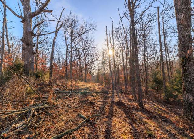 Property at 000 S 2251 Rd, Humansville, MO 65674