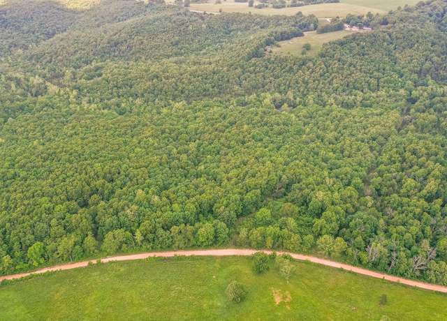 Property at Tbd County Road 95-246, Drury, MO 65638