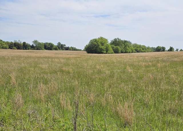 Property at 37 Acre Hwy Dd & Crane Drive Hwy, Seneca, MO 64865