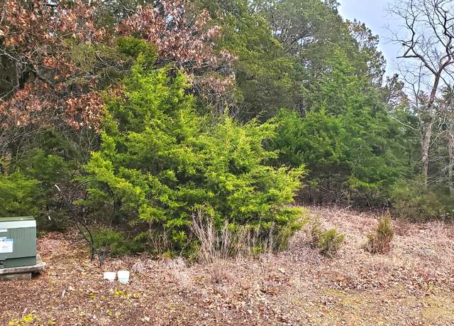 Property at 000 Lot 256 Silver Sunset Ln, Kimberling, MO 65686