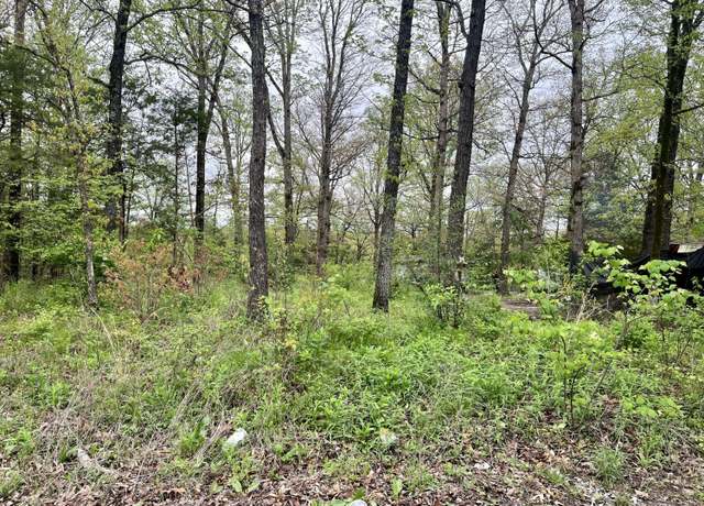 Property at 7009 Cliff Dr, Merriam Woods, MO 65740