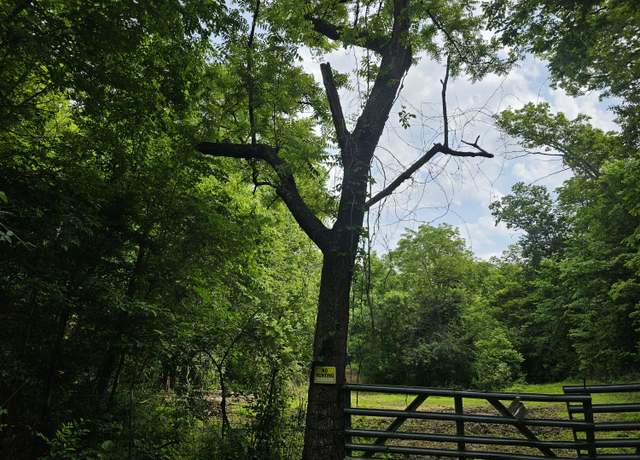 Property at 000 Sunny Slope Dr, Crane, MO 65633