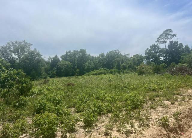 Property at Lot 3 Highway 112, Cassville, MO 65625