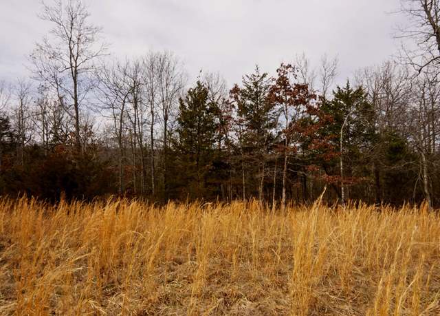 Property at Lot 21 Oakridge Dr, Gepp, AR 72538