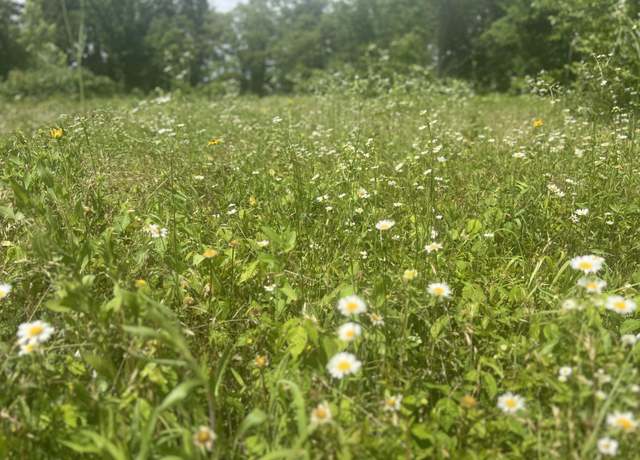 Property at Lot 1 Highway 112, Cassville, MO 65625