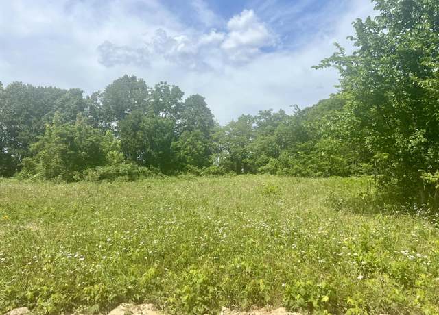 Property at Lot 2 Highway 112, Cassville, MO 65623