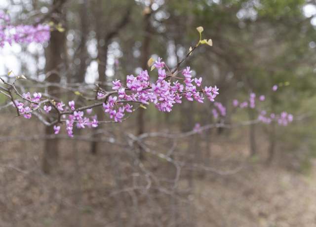 Property at Lot 3-5 Stone Rd, Merriam Woods, MO 65740