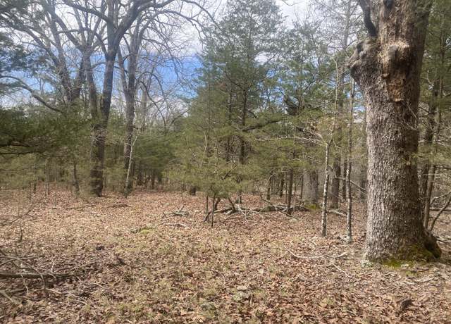 Property at 000 Mc 160, Theodosia, AR 65761