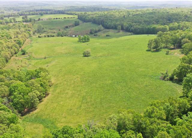 Property at 000 Hwy Ff, Gainesville, MO 65655
