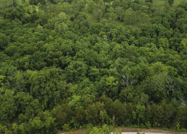 Property at 000 County Road 131, Wasola, MO 65773