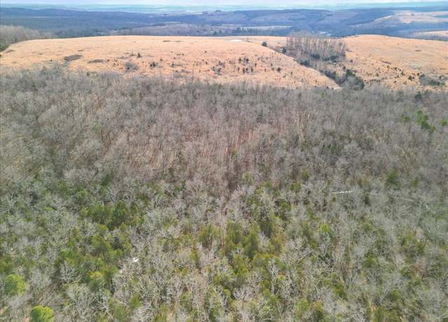 Property at 000 State Highway Ff, Zanoni, MO 65784