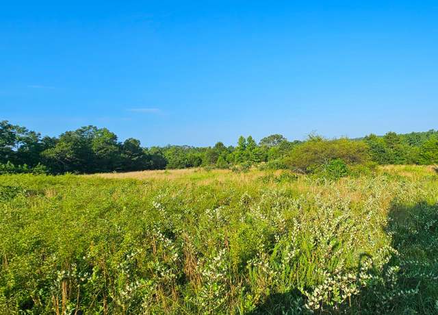 Property at 000 State Highway Ff, Zanoni, MO 65784