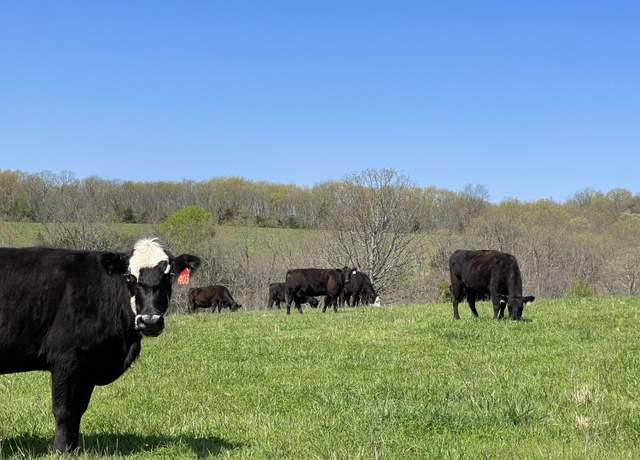 Property at 000 County Road Cc-256, Vanzant, MO 65768