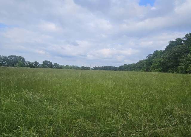 Property at 000 County Road 132, Norwood, MO 65717