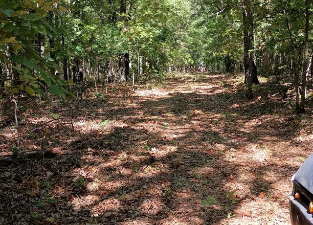 Property at 000 Flint Ln, Washburn, MO 65772