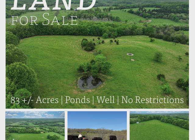Property at 000 County Road Cc-256, Vanzant, MO 65768