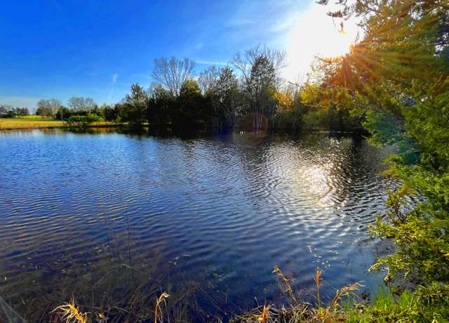 Property at 000 State Highway 14, Bruner, MO 65620