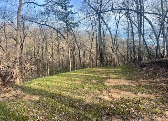 Property at 000 County Road 328, Dora, MO 65637