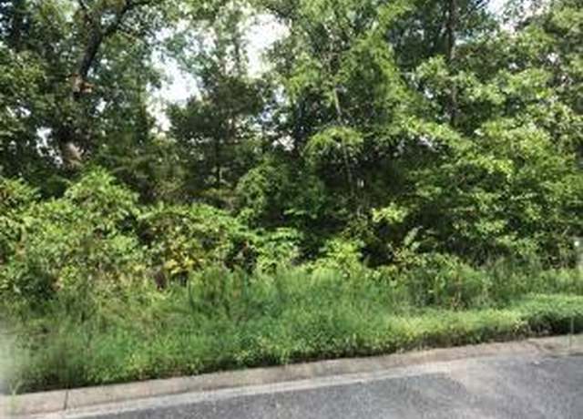 Property at 0 Ladybug Cir, Hollister, MO 65672