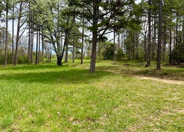 Property at 5484 Mily St, Winona, MO 65588