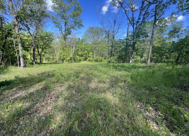 Property at 000 Temperance Valley Rd, Goodman, MO 64843