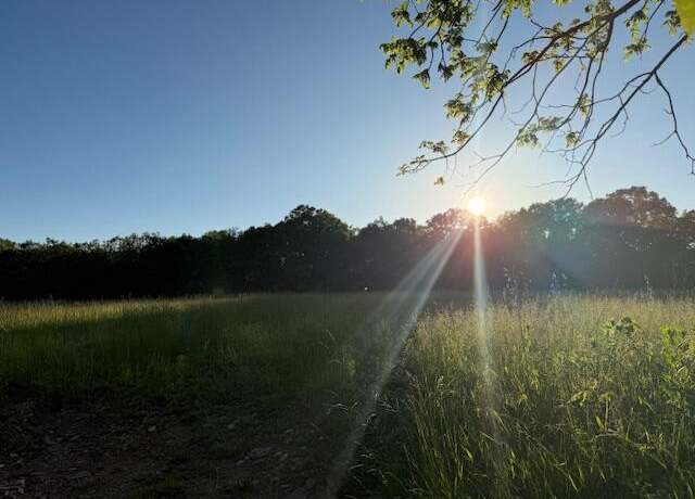 Property at 3763 Wolfe Dr, Mountain Grove, MO 65711
