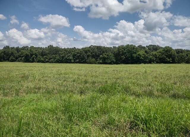 Property at 000 Wiseman Rd, Marshfield, MO 65706