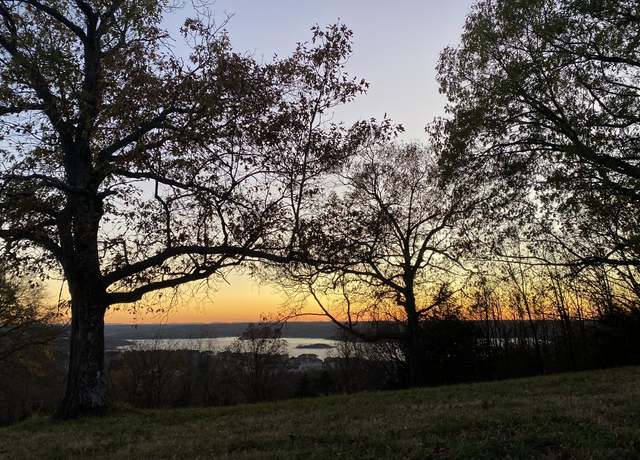 Property at 000 Emerald Crest Dr, Hollister, MO 65672