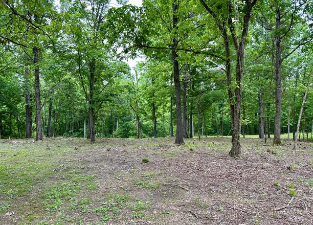 Property at 000 Leuckel Dr, Van Buren, MO 63965