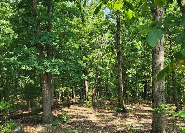 Property at Lot 1 Oriole Ln, Noel, MO 64854