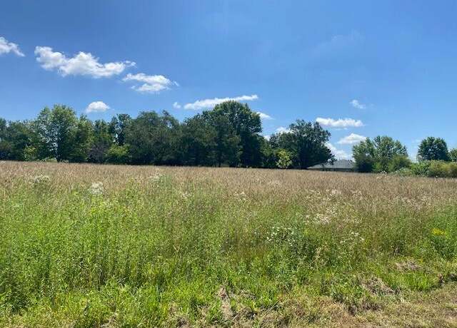 Property at 1.07 Acres N Orchard Blvd, Fair Grove, MO 65648