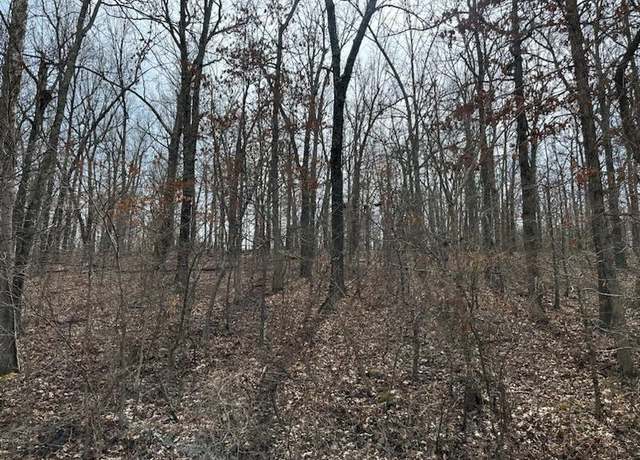 Property at Tbd Private Road 9951, Koshkonong, MO 65692