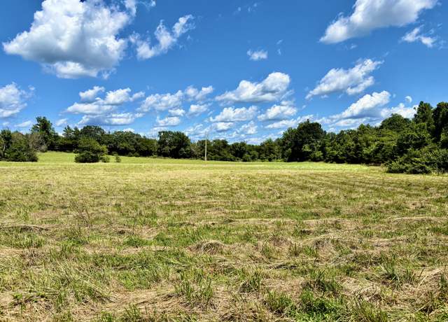 Property at 000 Tbd County Road 900, Theodosia, MO 65761