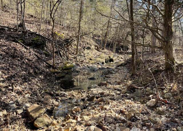 Property at 000 Us Hwy 160, Gainesville, MO 65655