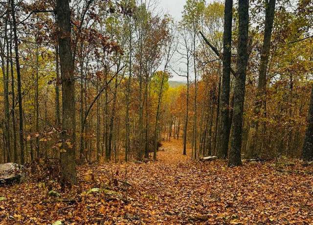 Property at 12879 Hwy O Hwy, Ava, MO 65608